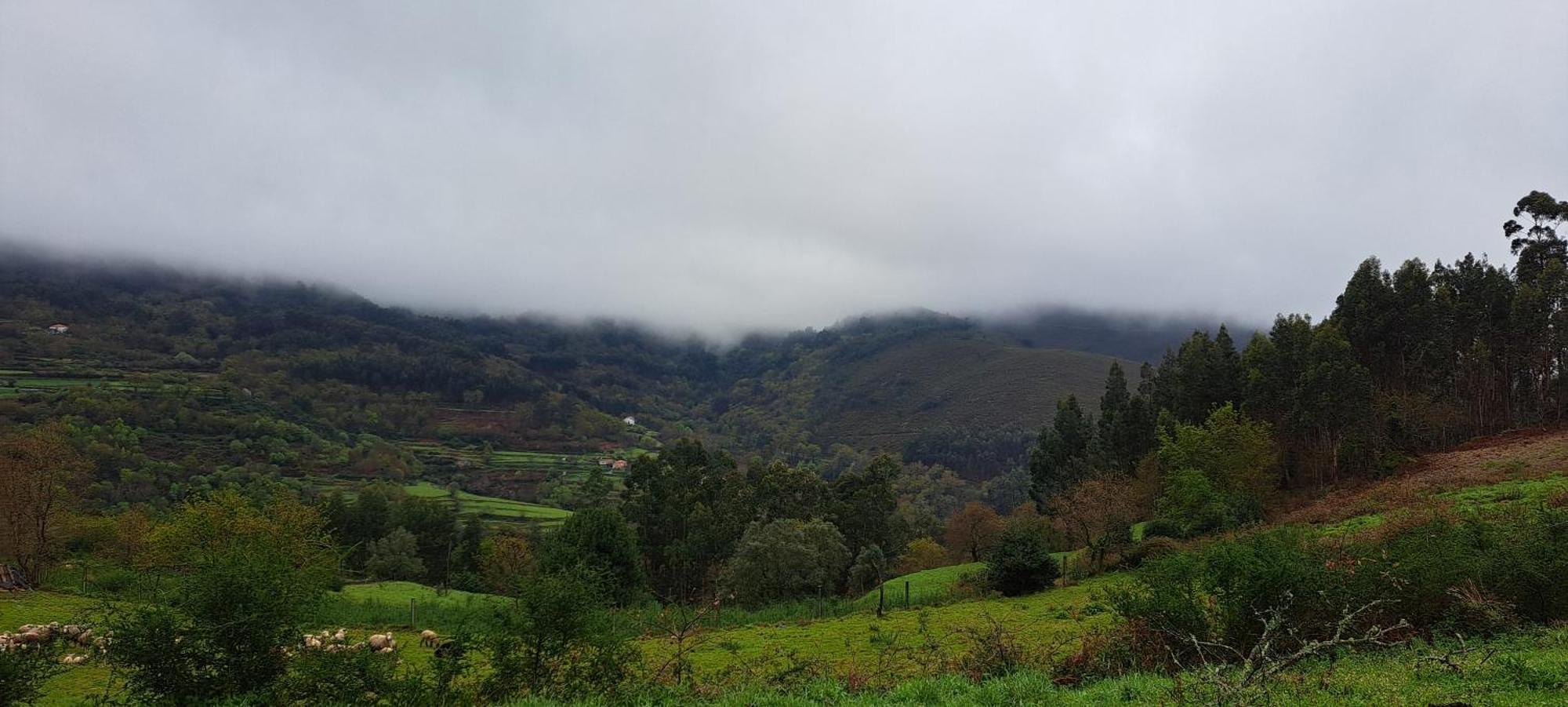 Refugio Dos Cartolas São Mamede de Infesta Zewnętrze zdjęcie