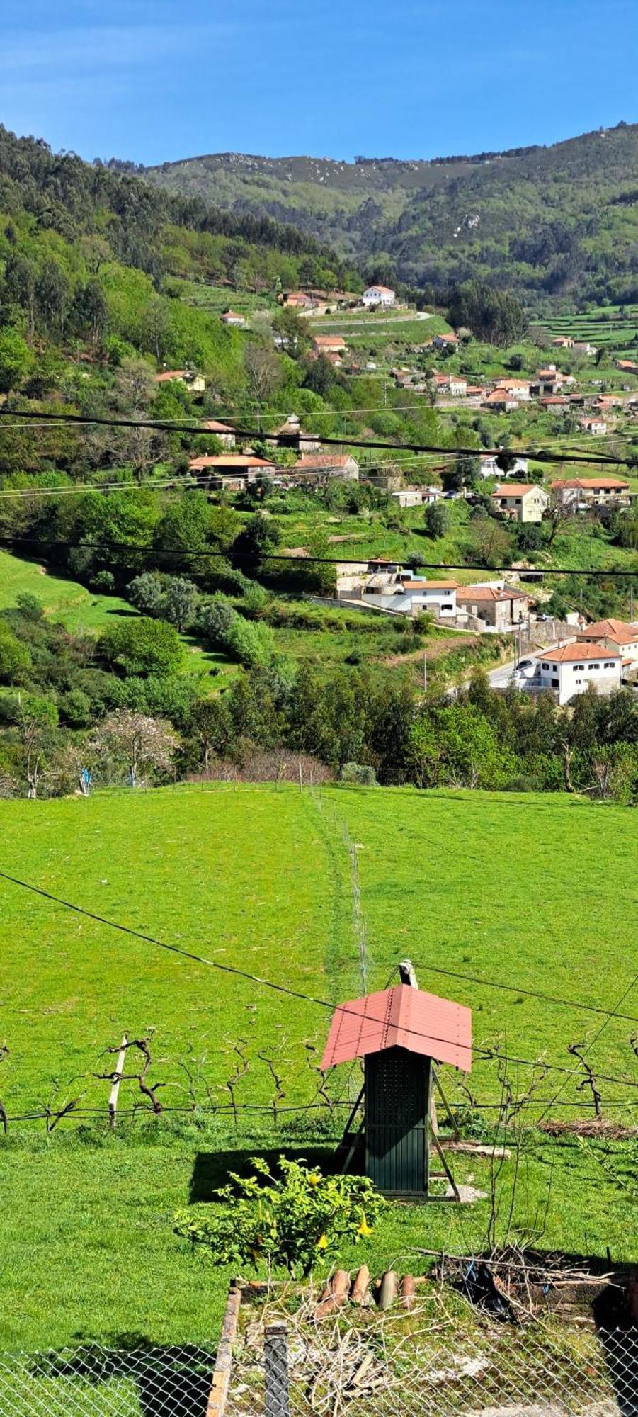Refugio Dos Cartolas São Mamede de Infesta Zewnętrze zdjęcie